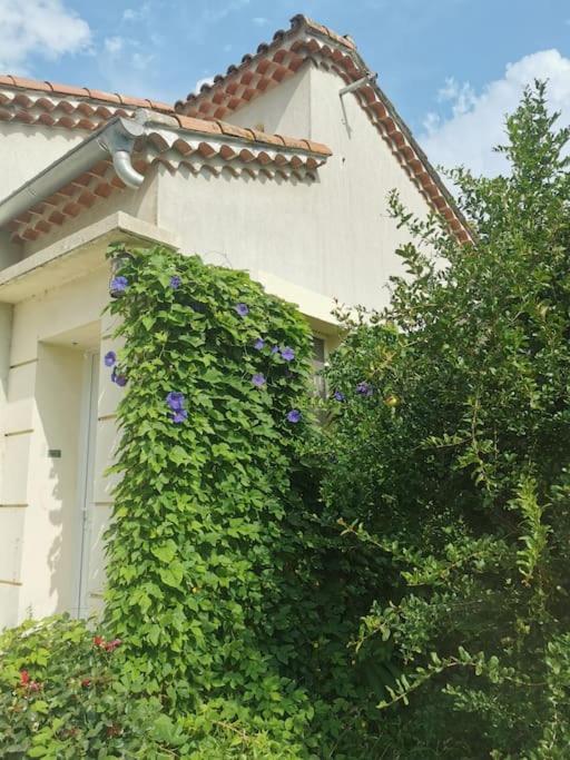 Maison Avec Piscine Dans Village Provencal. Courthézon Eksteriør bilde